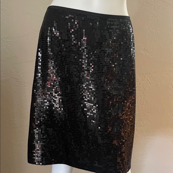 Ann Taylor Dresses & Skirts - Ann Taylor Elegant Black Sequence Skirt